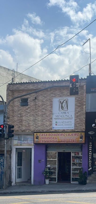 Camila Mendonça da Costa Advogada