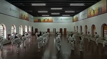 Karatê Estilo Shidokan