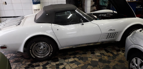 Cebola Auto Elétrica