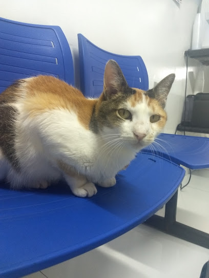 Clínica Veterinária Mania Animal