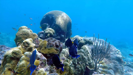 Scubalab Mergulho